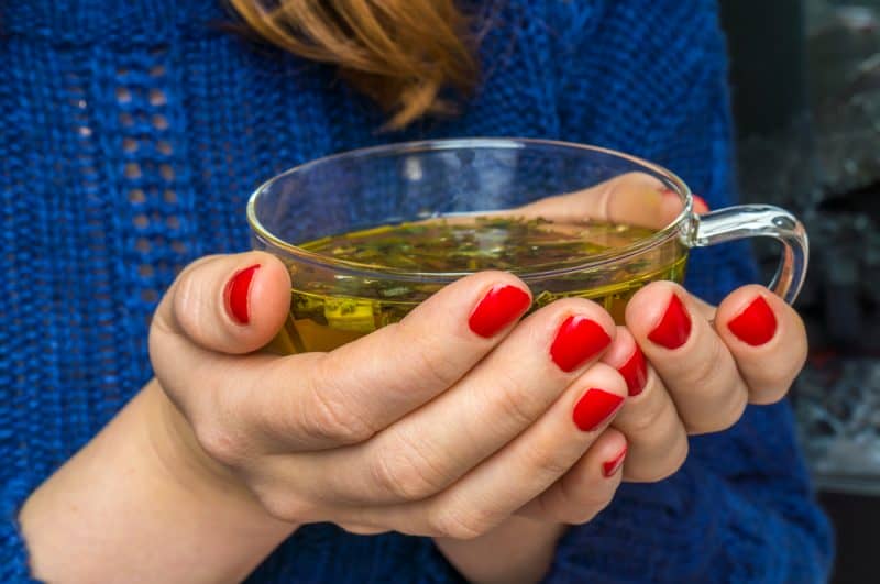 kak pravilno zavarivat zelenyjj chajj   recepty24 Як правильно заварювати зелений чай — рецепти