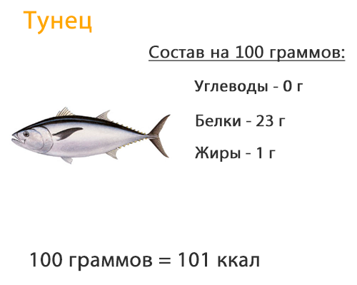 polza i vred tunca dlya organizma16 Користь і шкода тунця для організму