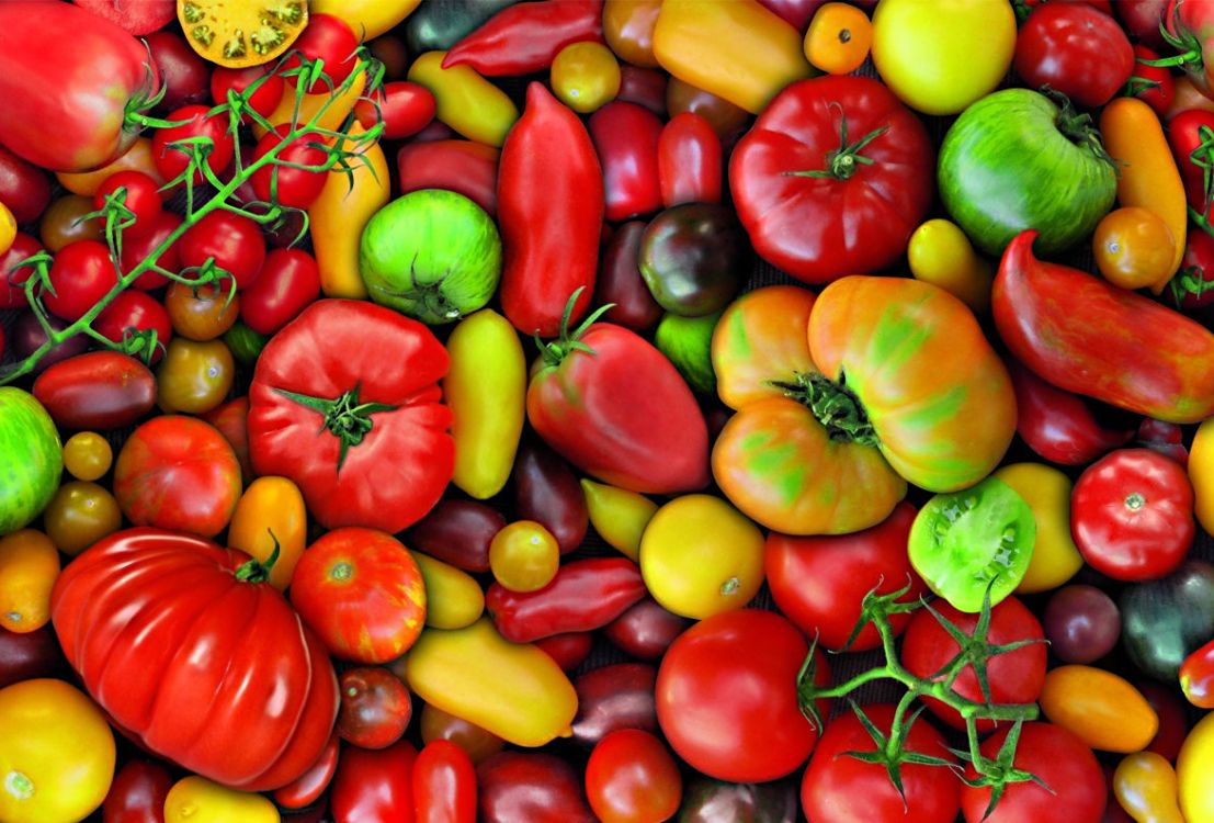 pomidor: poleznye svojjstva i pravila upotrebleniya23 Помідор: корисні властивості і правила вживання