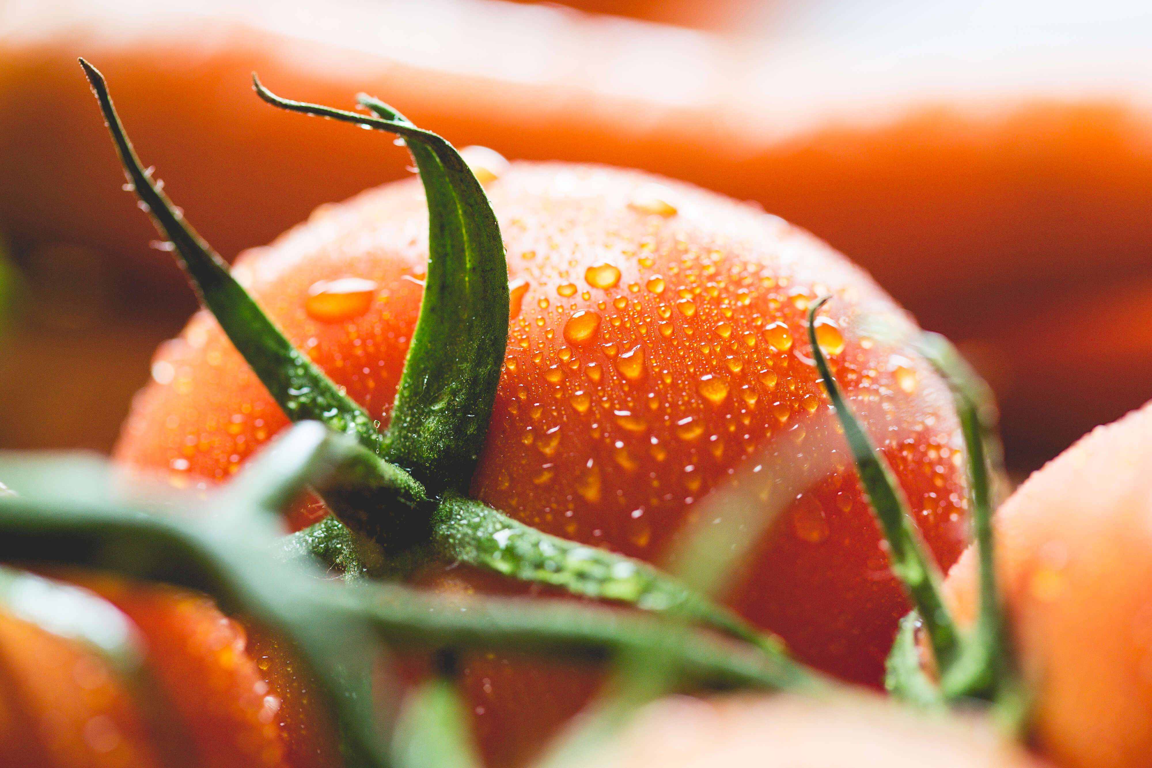 pomidor: poleznye svojjstva i pravila upotrebleniya25 Помідор: корисні властивості і правила вживання