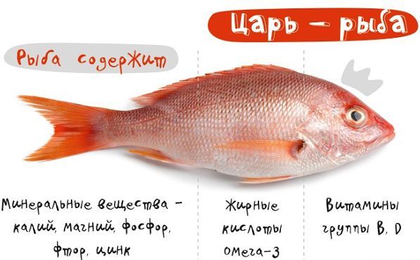 s kakogo vozrasta i kakuyu rybu mozhno detyam 44 З якого віку і яку рибу можна дітям?