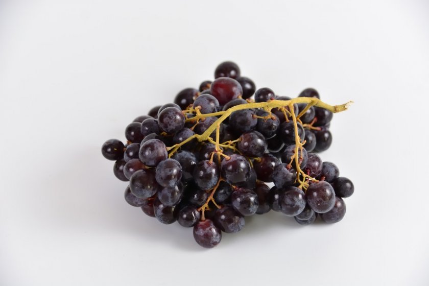 083ed56409bae04554660ae2902c671d Виноград чорний: користь і шкоду для організму людини, калорійність і склад