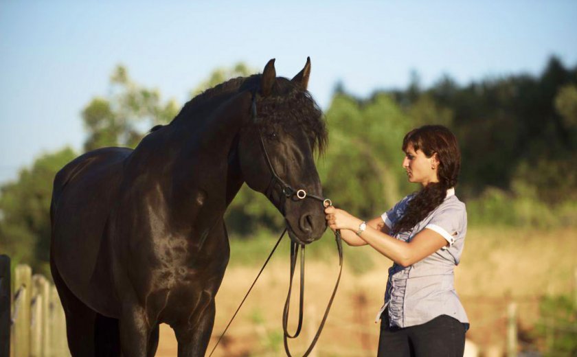 18f904380577a38adbfe80f6bce71dfc Коліки у коней: причини і симптоми, що робити і як лікувати в домашніх умовах народними засобами
