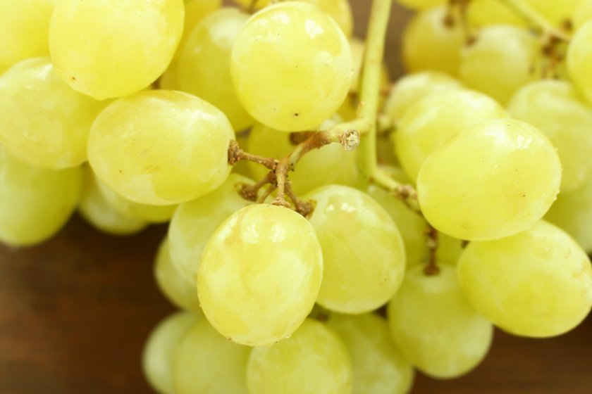 2c53e68b57e381a29b73828ec8ed0129 Білий виноград: користь і шкода для організму жінок і чоловіків, калорійність і харчова цінність