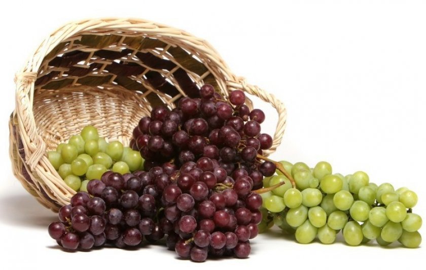 31775ccea3d01c6401d84f82365c6800 Можна їсти виноград при схудненні: користь і шкода, як правильно приймати, калорійність