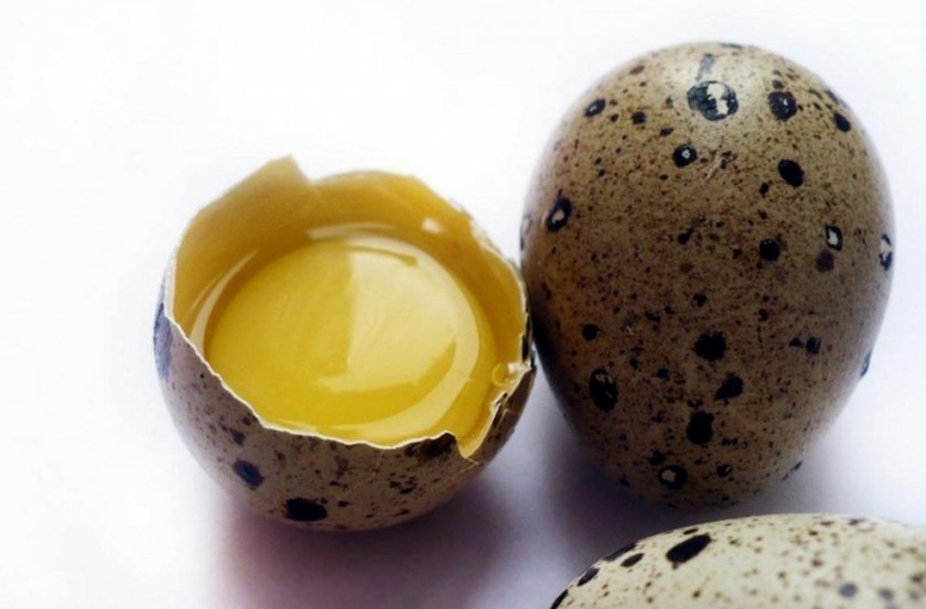 322cfb3149708632d2191adf0368dbec Перепелині яйця: користь і шкода для організму чоловіків, жінок і дітей, калорійність, як правильно вживати