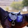 32d8674887c8f976cfc361fe79f57a83 Ганноверська кінь: опис і зміст породи, переваги та недоліки, особливості догляду, фото