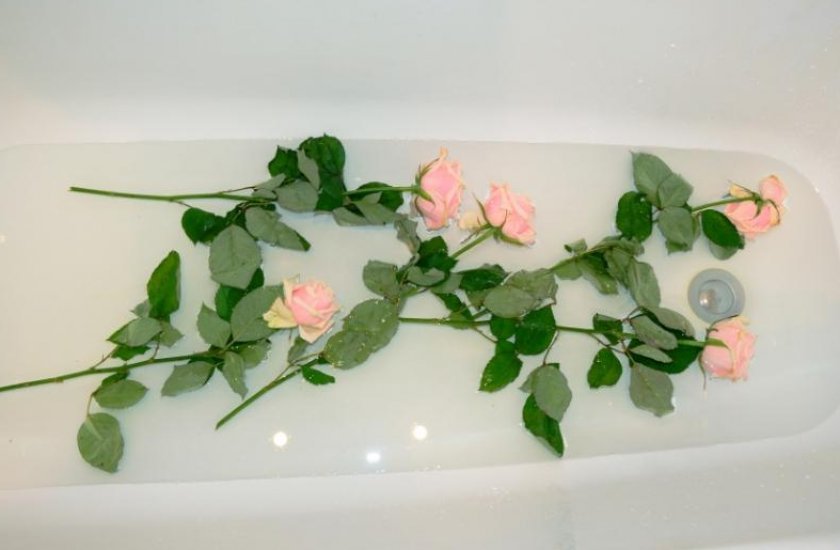 39d13e15c0600f6209a4186060a96382 Як реанімувати зівялі троянди в домашніх умовах: дієві методи, корисні поради, відео