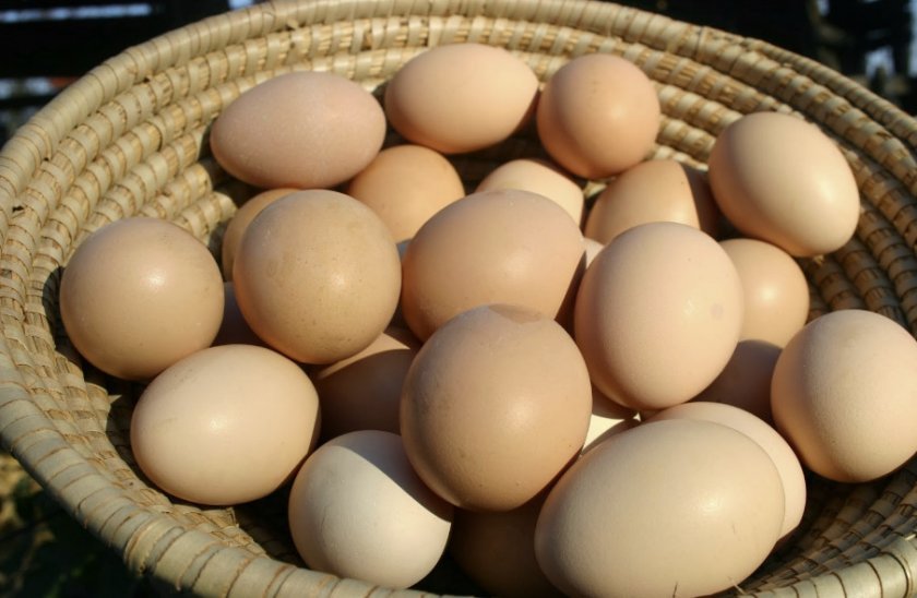 637ef49007f0b56c6f84474090ce75c8 Яйце куряче: калорійність вареного (яйця некруто), смаженого, сирого яйця, білка і жовтка, вага і хімічний склад