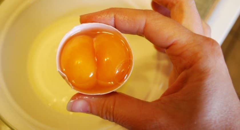 88aca8431e4066f5acc82b68b17be38d Два жовтки в одному яйці: чи це нормально, чому курка несе такі яйця і чи можна їх вживати, народні прикмети