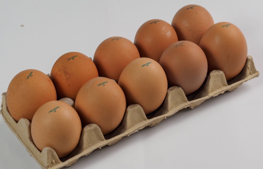 89b58d936e51fb34144b9e9ae9df4df5 Категорії курячих яєць: чим відрізняються, класифікація і маса, які краще