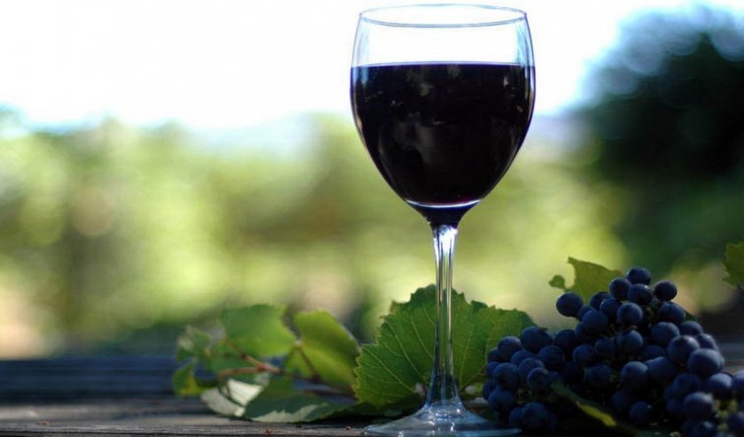 98956bbc63782b9d9b67f511c6cbea36 Як зробити вино з винограду Ізабелла в домашніх умовах: прості покрокові рецепти домашнього вина, коли збирати виноград на вино, фото, відео
