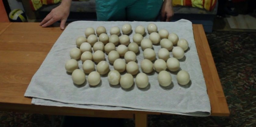 a73fb8a5725e1fe85daa37c7c161dc6b Інкубатор Бліц норма на 72 яйця: виробник, інструкція по застосуванню