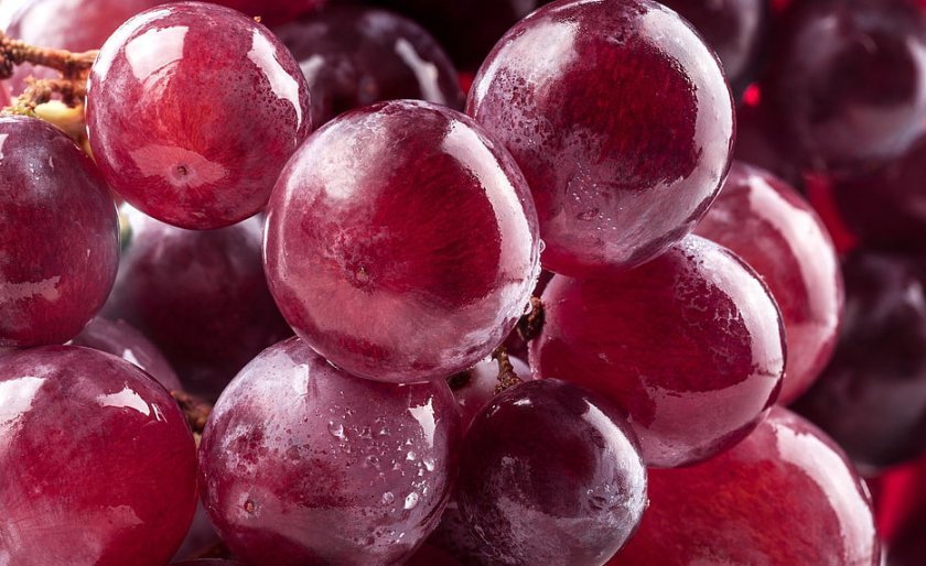 b37bd870b70340f2ae5ae26139922f58 Виноград — це ягода або фрукт? Як правильно називати, опис і особливості