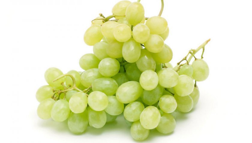 b7c84f38566213cc31c6df3faef3c5d1 Кращі сорти винограду без кісточок: опис та особливості розмноження, фото