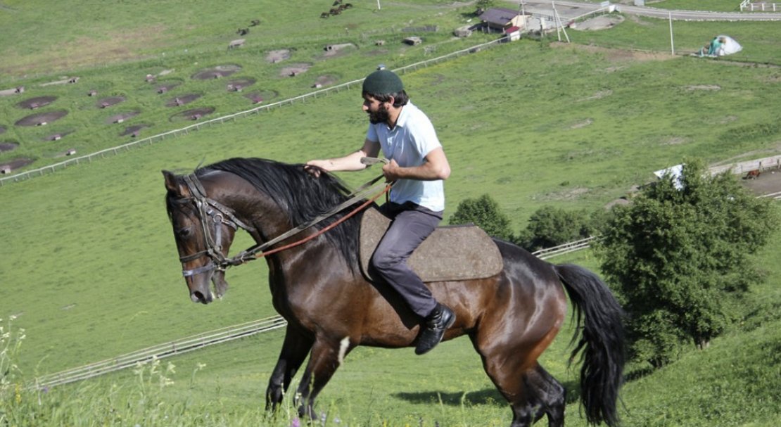 bad7a198a627a16d2c8de456ff1d155a Карачаевская порода коней: опис та характеристика, плюси та мінуси змісту, фото, відео
