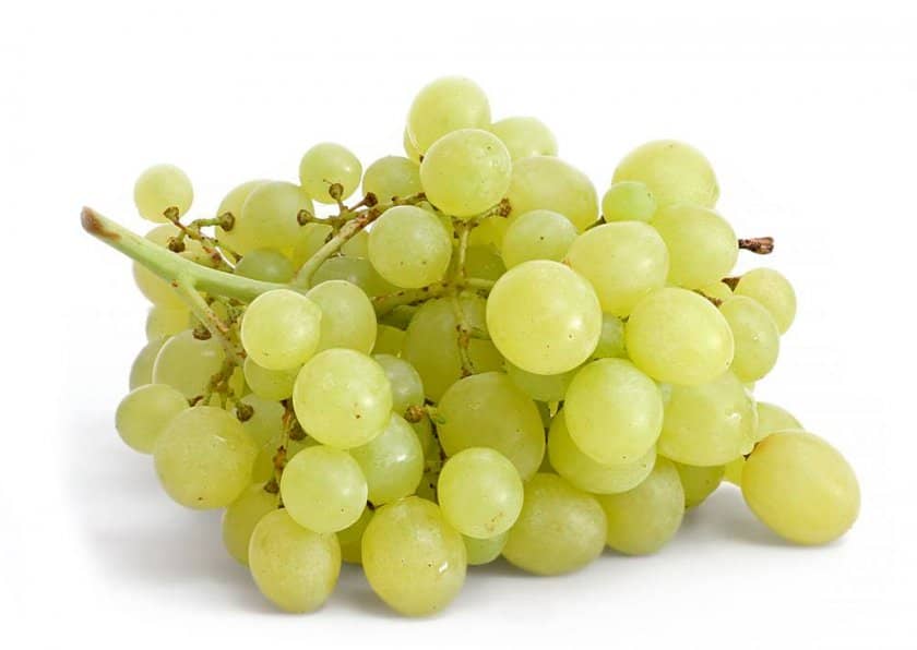 c1958a8150b97fe344c2299292bb436e Білий виноград: користь і шкода для організму жінок і чоловіків, калорійність і харчова цінність