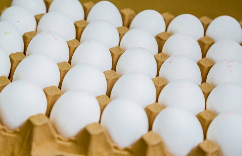 cd5aff470ca3b60514845e1d065e1dc8 Категорії курячих яєць: чим відрізняються, класифікація і маса, які краще