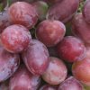 f9102389e8c658296fe07970a13ac5f5 Виноград — це ягода або фрукт? Як правильно називати, опис і особливості