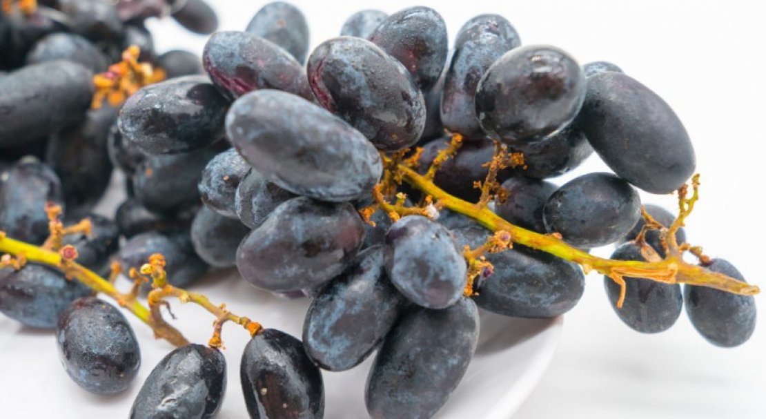 sort vinograda atos: opisanie i foto152 Сорт винограду Атос: опис та фото