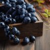 vinograd nizina: opisanie sorta, foto411 Виноград «Низина»: опис сорту, фото
