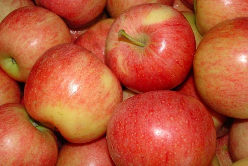 0161cd1dd52147208fedf3e6de53535f Чи можна заморожувати яблука в морозилці: особливості і способи заморожування яблук на зиму, терміни зберігання