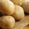 0301f1421aab168edc20241cd474a91a Картоплю Санте: опис та характеристика сорту, смакові якості, особливості вирощування та догляду, фото