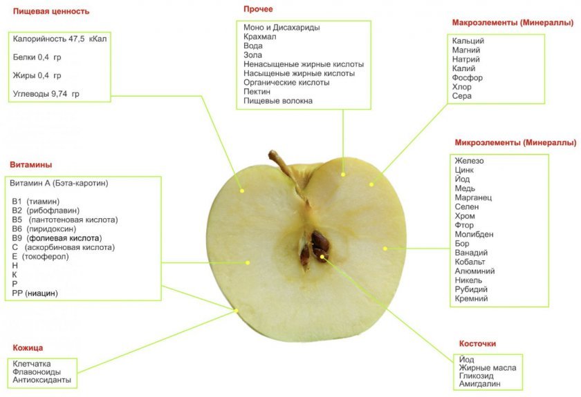 14309159e4e424b27a1d99a70624efa8 Шкірка яблук: корисна або шкідлива, вітамінний і хімічний склад, протипоказання