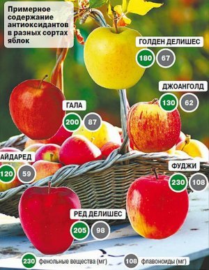 2d45c260db52797a82bd010cfbec971c Яблука для схуднення: калорійність і хімічний склад, корисні й шкідливі властивості яблук