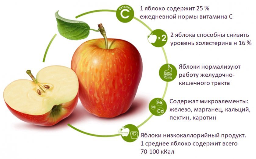 53281371a7ac2ea9585478c27c1271dd Шкірка яблук: корисна або шкідлива, вітамінний і хімічний склад, протипоказання
