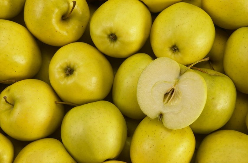 7630ed6d35858b9c654e046b80345270 Яблуко сорту Голден: калорійність яблука на 100 грам і хімічний склад, правила вживання