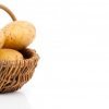 7780886a2e566692bb2d220cc5b691b0 Картоплю Санте: опис та характеристика сорту, смакові якості, особливості вирощування та догляду, фото