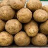 840ed61290b5c0d33a805c20cf0f998e Сорт картоплі Вега: характеристика і опис, вирощування і урожайність, методи збору і зберігання, фото