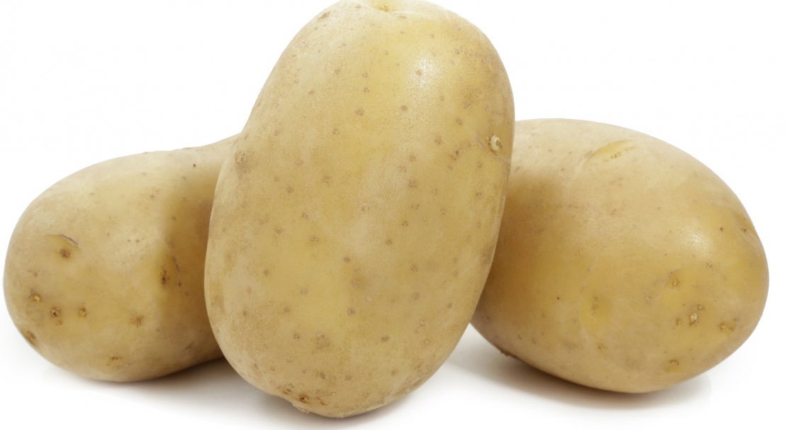 84e73f0bc723010d07b50af59dfd0c64 Сорт картоплі Вега: характеристика і опис, вирощування і урожайність, методи збору і зберігання, фото