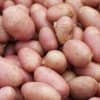 863cc90266d4e18e80cba7838ffefec5 Картопля Уладар: опис та характеристика, врожайності, смакові якості та його зберігання, фото