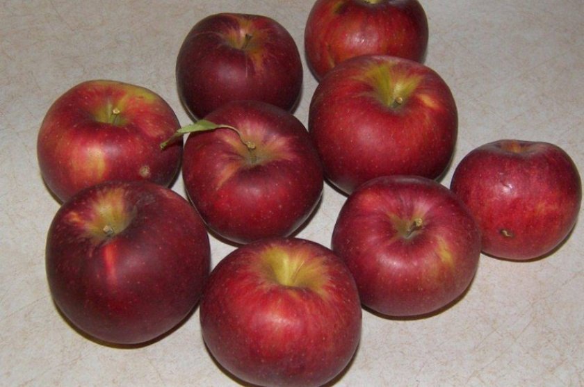 89d665fd9357db470aa13800796af3f2 Чи можна заморожувати яблука в морозилці: особливості і способи заморожування яблук на зиму, терміни зберігання