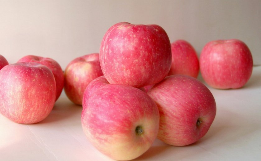 8efe445cbbdb8fa062ed2017c5653b42 Чи можна заморожувати яблука в морозилці: особливості і способи заморожування яблук на зиму, терміни зберігання