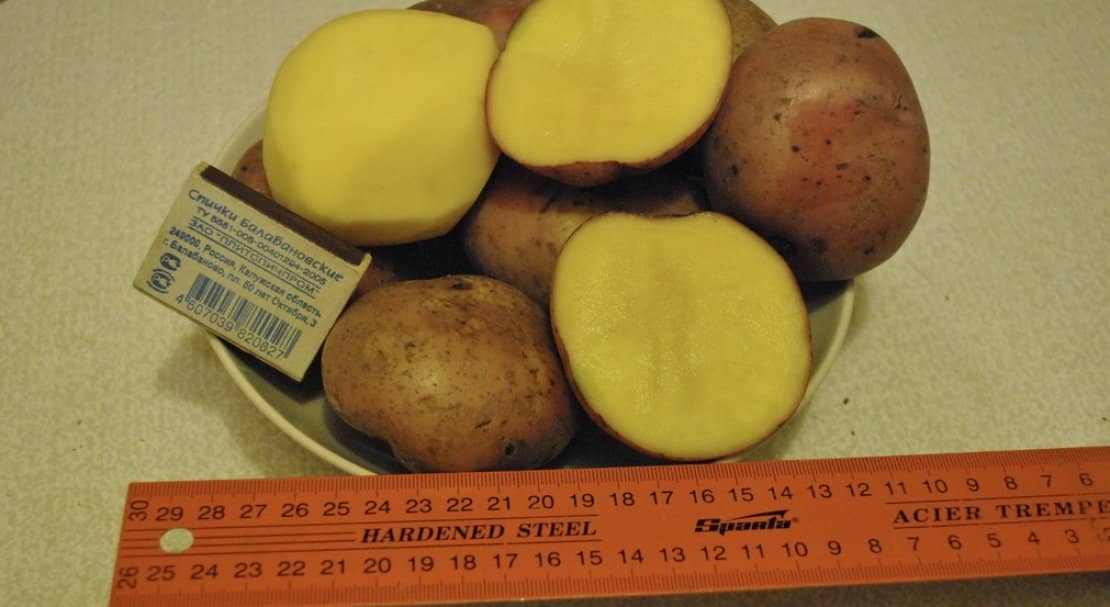a160b207cd0dfec86bbd3f38ef49e3b6 Картопля Ароза: опис та характеристика сорти з фото, смакові якості, особливості вирощування