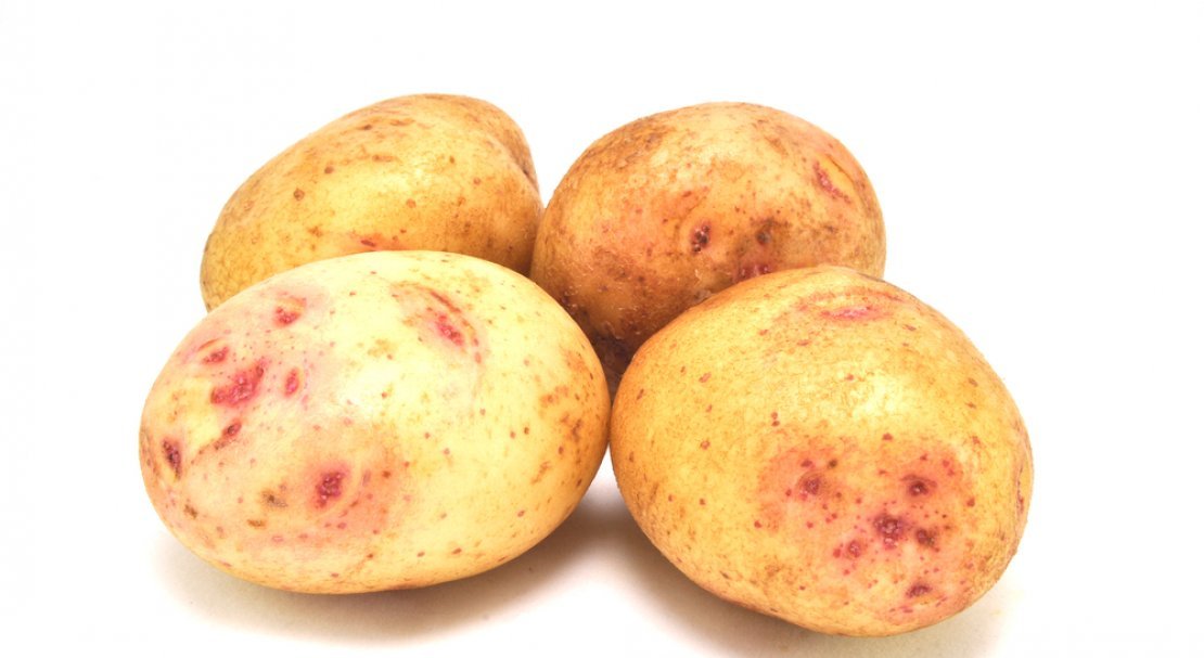 a952adfc8fa57a5f5347a0e6bde116ce Картопля Синьоока (опис сорту) смакові якості, користь