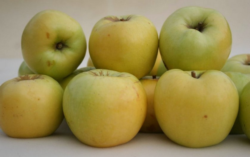add545b4e9a9d5f4400ffdc2b7392376 Чи можна заморожувати яблука в морозилці: особливості і способи заморожування яблук на зиму, терміни зберігання