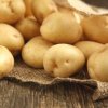 b904aa49899d6cbb38d7b9866a2466f6 Картопля Янка: опис та характеристика сорту, смакові якості, особливості вирощування, фото, відео