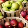 ca3612d98e1378496c6d7c3533728678 Шкірка яблук: корисна або шкідлива, вітамінний і хімічний склад, протипоказання
