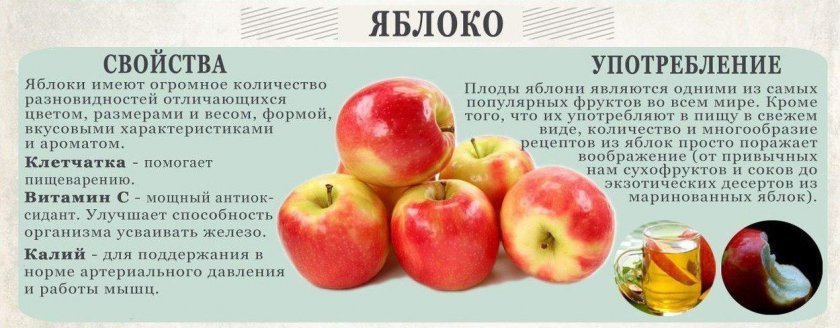 d6f94c7603f1c5cae36b29e8890019c7 Морожені яблука: користь і шкода, склад і калорійність, правила вживання