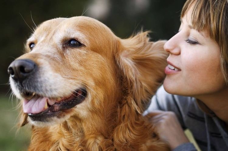 f89565e3e67a49591bb5e921e07c828c Герпес у собак: симптоми і лікування | причини, як вилікувати
