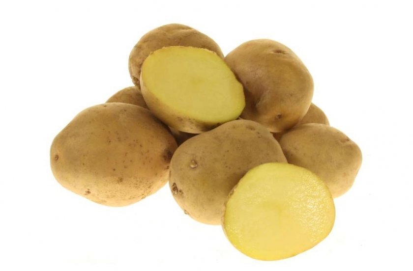 fb4ee33b6fc29337f55c02bc78497b44 Картопля Джеллі: опис сорту та характеристика з фото, смакові якості, особливості вирощування та догляду
