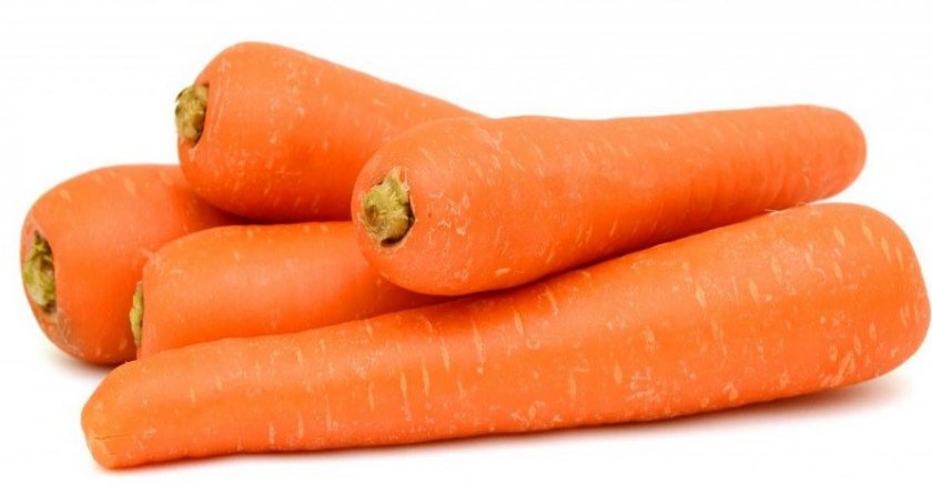 0ffe215a0e3c005ad0e1eb765a16bc40 Чому морква не солодка і не соковита: як виростити велику і солодку, кращі сорти
