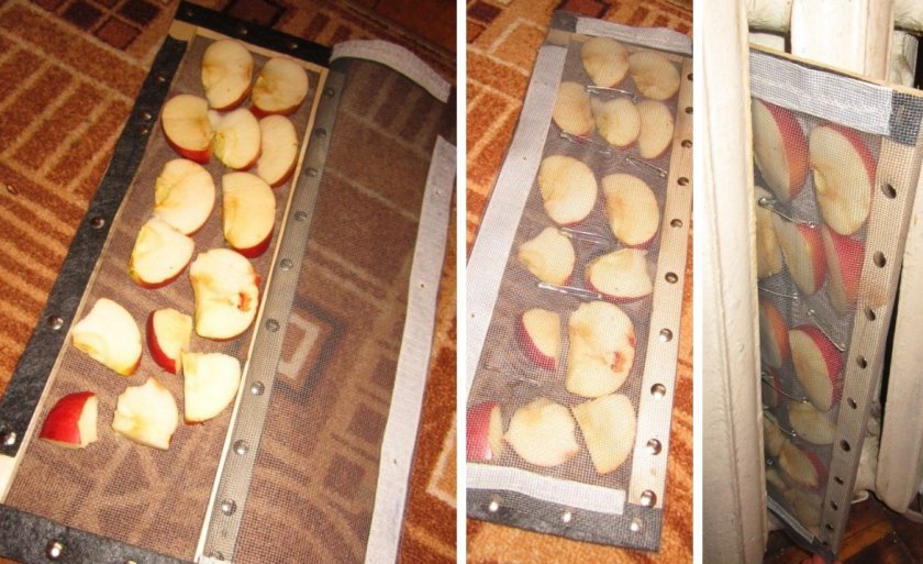 131d64ed07481aa8f4dfd8835485f545 Як висушити яблука в домашніх умовах: хімічний склад і калорійність сушених яблук