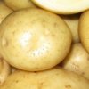 17d75d02517c1c6faf30bbcdfc4df0b6 Картопля сорту Галактика: особливості та характеристика, агротехніка вирощування і догляд за картоплею, фото