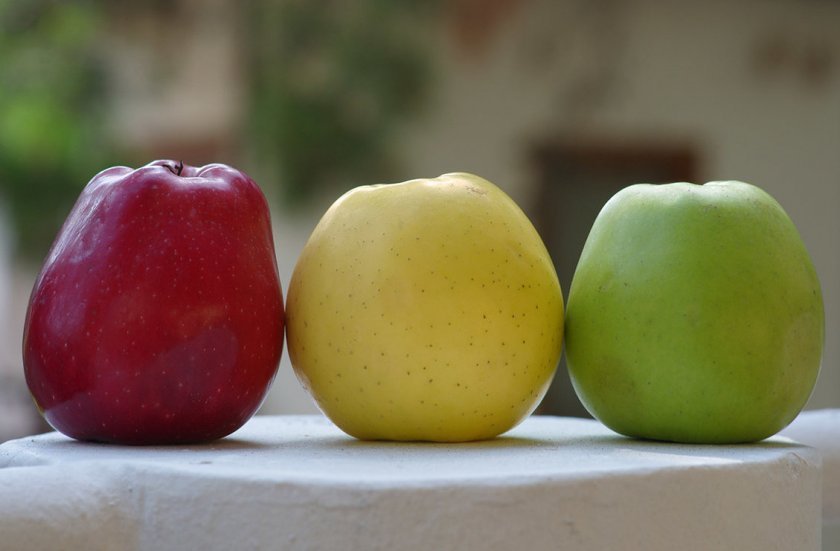 1845e563748e2bc24cfcfdc4c278666e Скільки яблук можна зїдати в день: добова норма вживання, що буде, якщо зїсти багато яблук