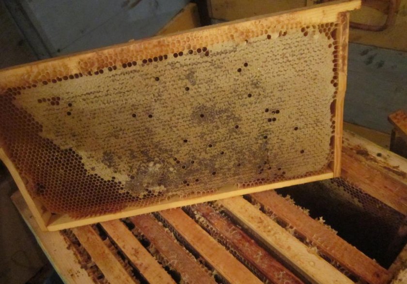 29a2ec0ad53334898bb54c331087f5ec Скільки рамок потрібно залишати на зиму у вулику, скільки меду бджоли зїдають взимку